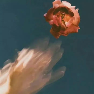 日韩亚洲欧美中文高清在线
